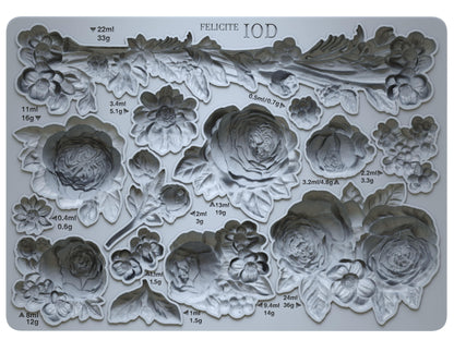 Felicite 5x7" Decor Mould by Iron Orchid Designs (IOD)