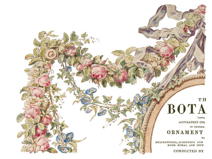 The Botanist 12x16" Decor Transfer FOUR Sheet Set by Iron Orchid Designs (IOD)